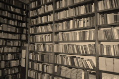 Екскурсія бібліотекою  БДПУ