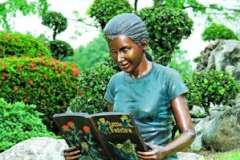 Колекція Maprang Bronze