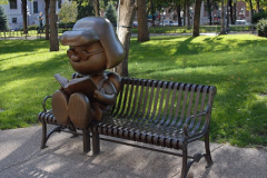 Райс-парк в Сент-Полі, Міннесота, США.